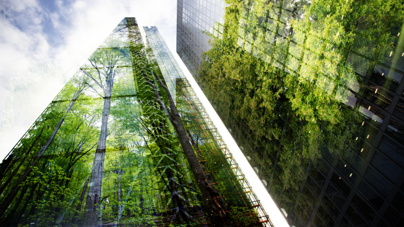 Skyscrapers with trees in the reflection